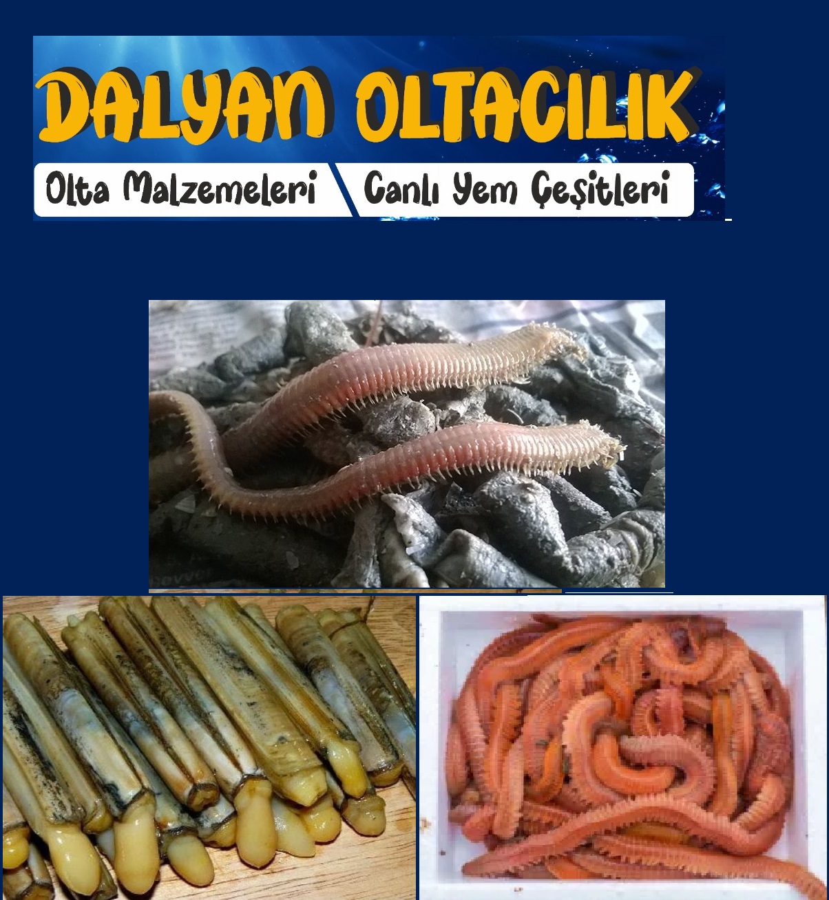 beylikdüzü canlı yem cin kurdu ve sülünez