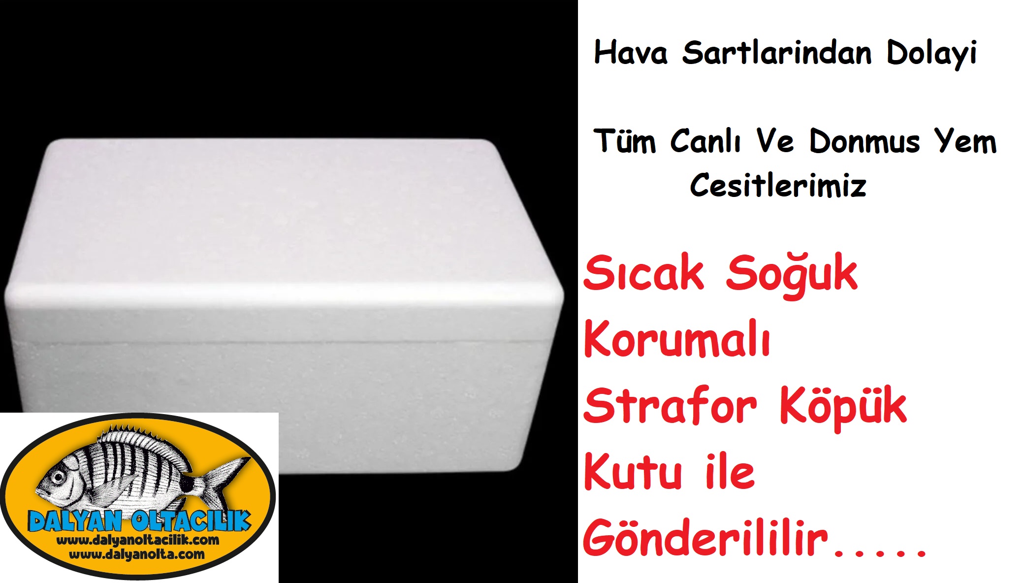 canlı yem kargo,canlı yem kurye,