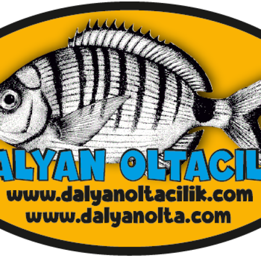 Surf Casting Teknikleri,Sahilden Balık Avlama,Surf Olta Takımı,Uzak Atış Teknikleri,Surf Casting Makineleri,Surf Olta Kurulumu,En İyi Surf Casting Kamışı,