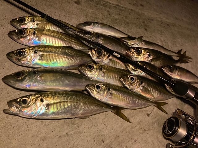 ajing, lrf, ajing ile lrf farkı, lrf nedir, ajing nedir, hafif spin avcılığı, istavrit avı, lrf teknikleri, ajing teknikleri, jig head, silikon yem, ajing kamışı, lrf kamışı, balık avı teknikleri, japon balıkçılığı, hafif olta takımı, mikro spin, sportif balık avı, istavrit avlama, ajing ekipmanı, lrf ekipmanı