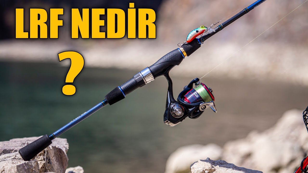 lrf nedir, light rock fishing, lrf avı, lrf ekipmanları, lrf kamış, lrf makine, lrf misina, lrf yemleri, lrf silikon yem, lrf jighead, kıyıdan balık avı, lrf balık türleri, istavrit avı, ajing nedir, lrf için en iyi kamış, lrf için hangi yem, spin avcılığı, hafif olta takımı, lrf balık avı teknikleri, lrf ipuçları