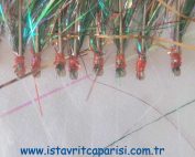 çinekop çapari, lüfer çapari, sarıkanat çapari, palamut çapari, tırsı çapari, 25 iğneli çapari, simli çapari takımı, beyaz sim çapari, yeşil sim çapari, turuncu sim çapari, horoz tüylü çapari, dalyan oltaçılık çapari, 0.50 ana beden çapari, 0.40 köstek çapari,